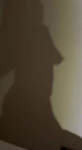 女上体位倒影